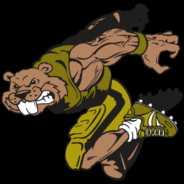 AR14 BEAVER FBLL 02 RQC Thumbnail