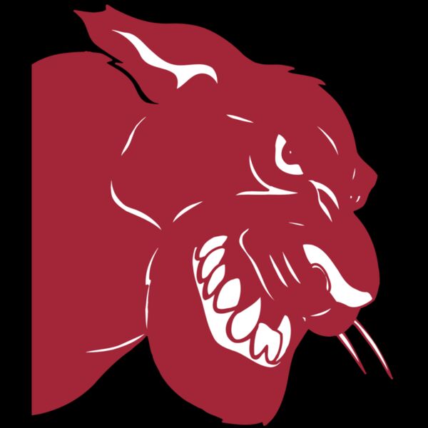 AR5 COUGAR 37 RQC Thumbnail