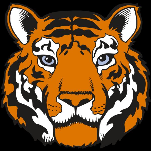 BAW TIGER 02 RC Thumbnail